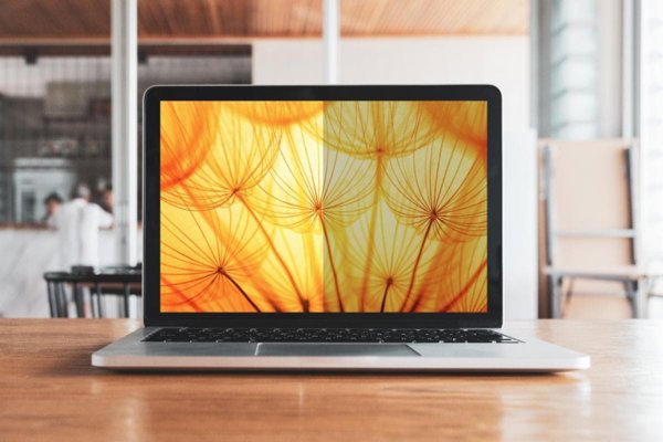 Φίλτρο Προστασίας Οθόνης 3M Bp173W9B για Laptop 17.3"