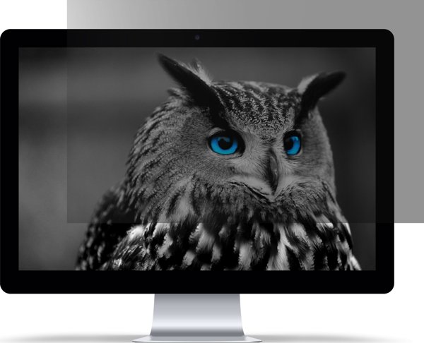 Φίλτρο Natec απορρήτου RODO OWL 17.3" 16:9 (NFP-2288)