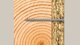 Fischer Βίδες TORX 5,0x50 λευκές 200