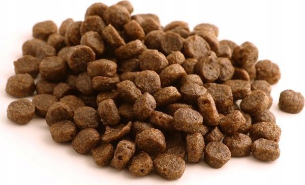 Fish4Dogs Fish4Dogs Superior Senior με σολομό (S) 1,5kg