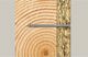 Fischer Βίδες TORX 5,0x100 λευκές 100