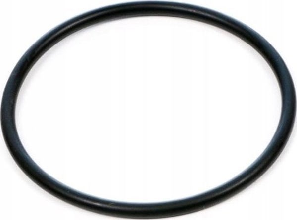 Fluval Φλάντζα Κινητήρα (O-Ring) για Φίλτρα Σειράς FX - A20207