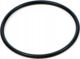 Fluval Φλάντζα Κινητήρα (O-Ring) για Φίλτρα Σειράς FX - A20207