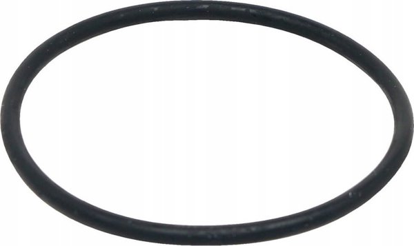 Fluval Φλάντζα Κινητήρα (O-Ring) για Φίλτρα Σειράς FX - A20207