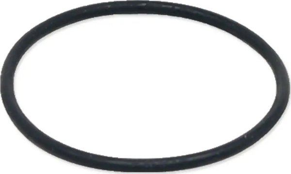 Fluval Φλάντζα Κινητήρα (O-Ring) για Φίλτρα Σειράς FX - A20207