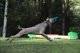 Frisbee dla psa Waboba Jetwag