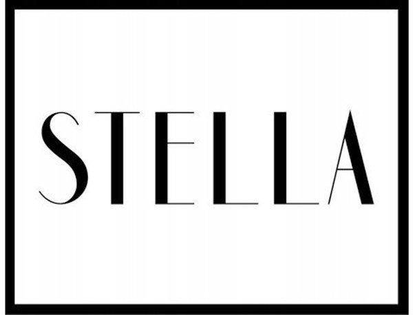 Αε Frytkownica STELLA STAF 1500-6-IX χωρίς Λιπαρά