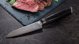Μαχαίρι G21 G21 Gourmet Damascus 13 cm 6002229