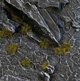 Gamers Grass Tiny Tufts - Ειδικές Τούφες Μοντελισμού - Dark Moss - 2mm (Σετ 500 Τεμάχια)