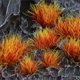 Gamers Grass Alien Fire Tuft - Ειδικές Τούφες Γρασιδιού για Διοράματα - 6mm - 70 Τεμάχια