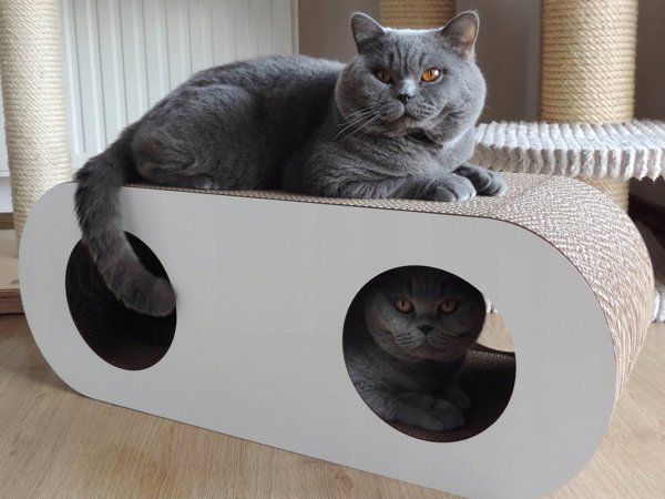 Gattino Gattino Ονυχοδρόμιο 03 Coco λευκό