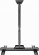 Gembird ΤΗΛΕΟΡΑΣΗ ACC ΣΤΗΡΙΞΗ ΤΟΙΧΟΥ 32-55"/WM-55ST-02 GEMBIRD 13097052 8716309127394