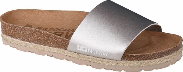 Geographical Norway Γυναικεία Πέδιλα Baja Verano GNW20406-26 από Συνθετικό Δέρμα, Ασημί, Νο 37