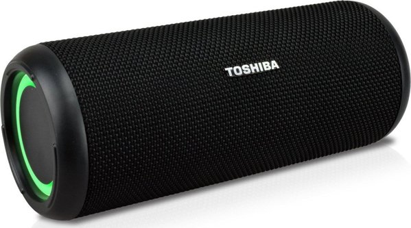 Ηχείο Toshiba TY-WSP201 μαύρο