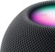 Apple HomePod Mini Space Grey (MY5G2D/A)