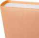 Άλμπουμ Goldbuch GOLDBUCH 27256 Fortuna πορτοκαλί γωνία/διαχωριστικά 30x31 εκ 60 σελίδες| λευκά φύλλα [V]