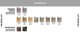 Goldwell Goldwell, TopChic, Μόνιμη Βαφή Μαλλιών, 11SN, 60 ml Unisex