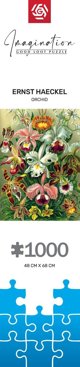 Good Loot Good Loot Puzzle: Φαντασία - Ernst Haeckel - Ορχιδέα / Orchid (1000 κομμάτια)
