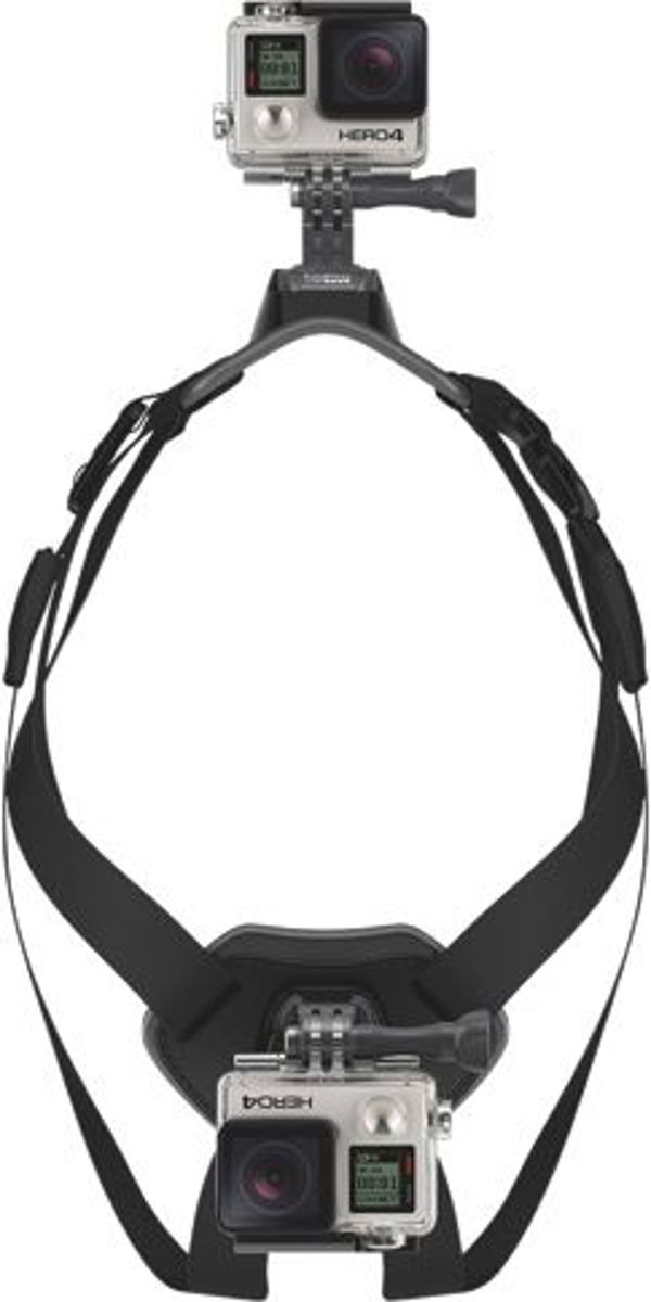 GoPro Fetch (Dog Harness) (ADOGM-001)