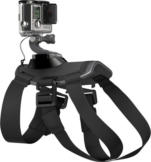 GoPro Fetch (Dog Harness) (ADOGM-001)