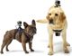 GoPro Fetch (Dog Harness) (ADOGM-001)