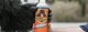 Gorilla Sports Gorilla glue 1l