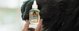 Gorilla Sports Gorilla κόλλα Clear 110ml