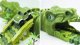 Gotel B44C RACE TRACK DINOSAUR PARK DINO 13868063 5904100207237