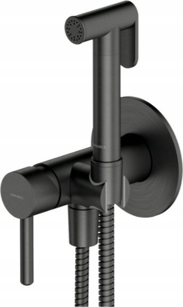 Graphite bidet set OMNIRES BIDETTA Y