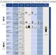Grohe Termostatelement Ny mod - Grohe model nr. 47439 47439000