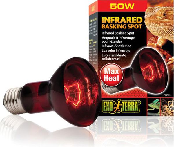 Hagen EXOTERRA ΛΑΜΠΑ ΥΠΕΡΥΘΡΩΝ SPOT 50W