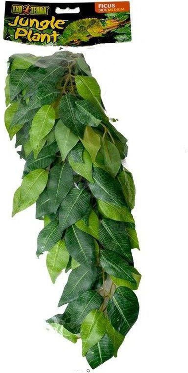 Hagen EXOTERRA FICUS M. PLANT 1195746 15561230407