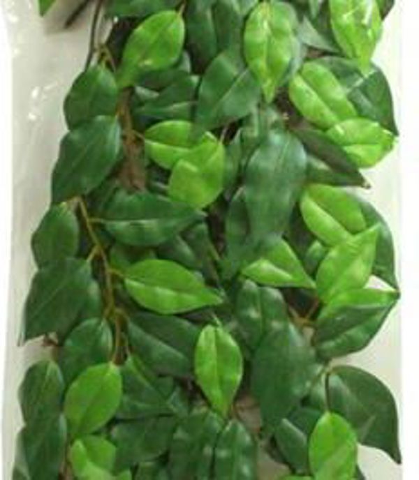 Hagen EXOTERRA FICUS M. PLANT 1195746 15561230407