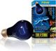 Hagen EXOTERRA ΛΑΜΠΑ ΘΕΡΜΑΝΣΗΣ NIGHT HEAT 75W