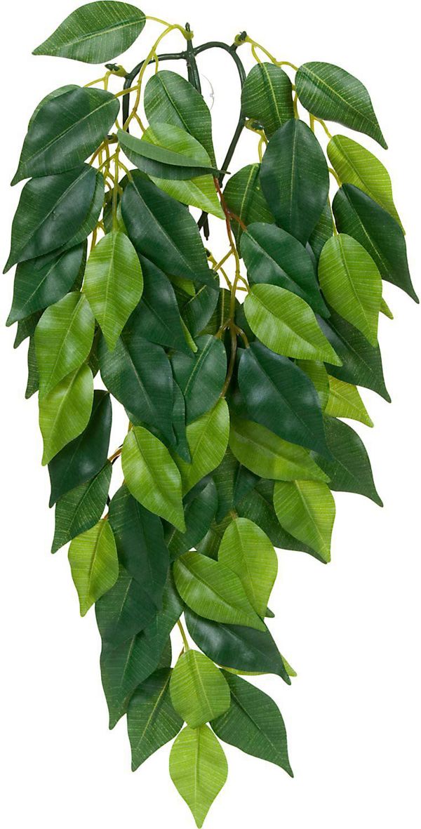 Hagen EXOTERRA Φυτό Ficus S