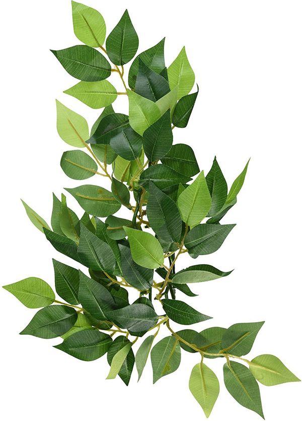 Hagen EXOTERRA Φυτό Ficus S