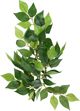 Hagen EXOTERRA Φυτό Ficus S