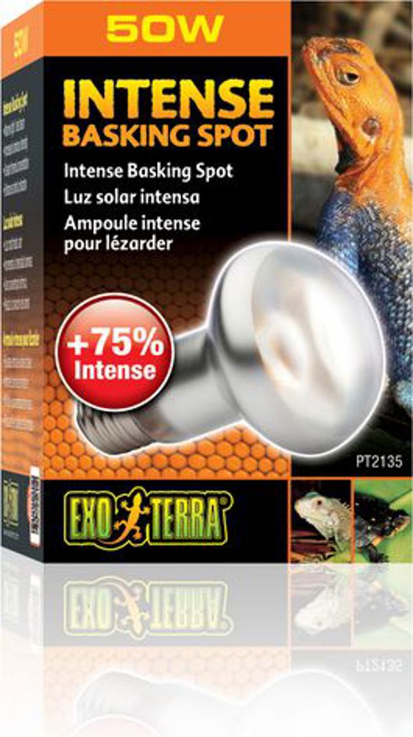 Hagen EXOTERRA Λάμπα Intense Spot 50W