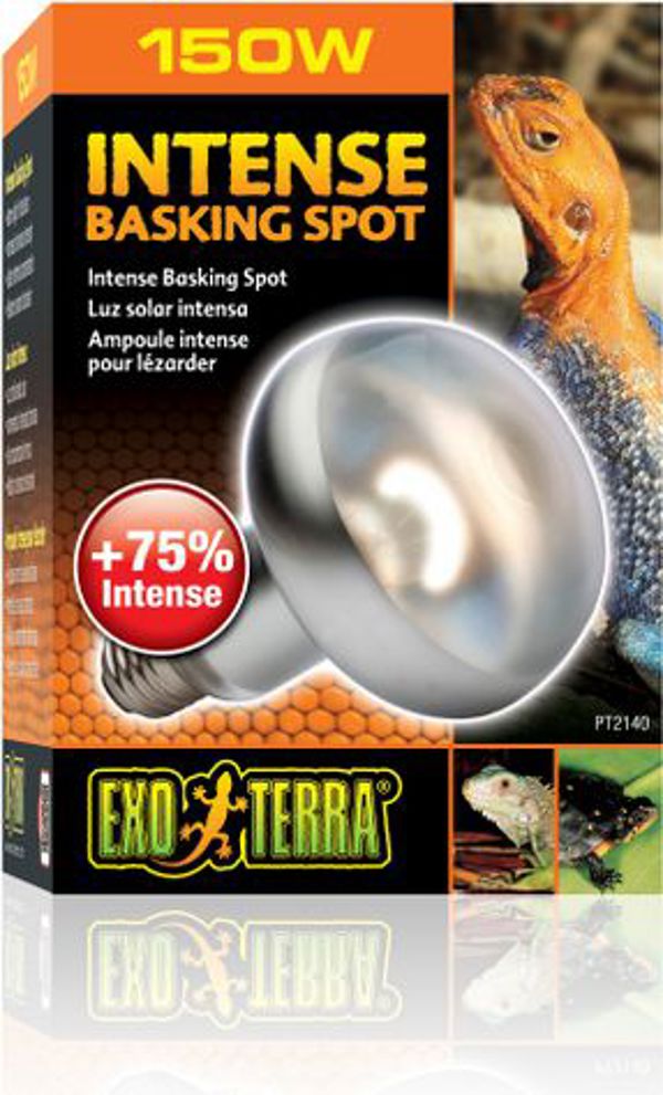 Hagen EXOTERRA Λάμπα Intense Spot 150W