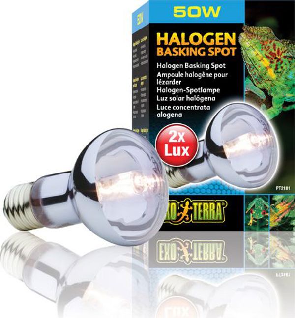 Hagen EXOTERRA Λάμπα αλογόνου Spot 50W