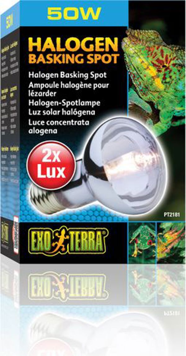 Hagen EXOTERRA Λάμπα αλογόνου Spot 50W