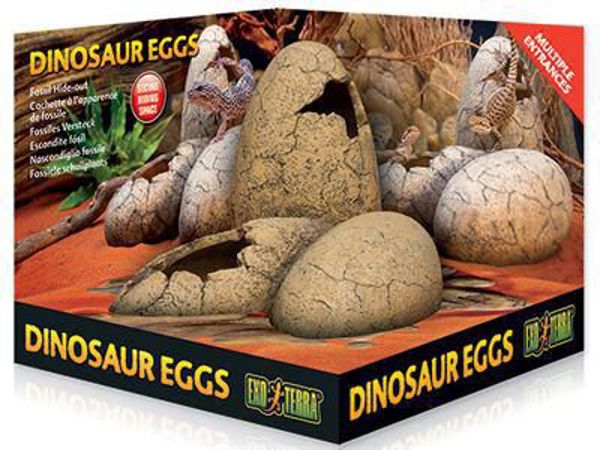 Hagen DEKORACJA JAJA DINOZAURA
