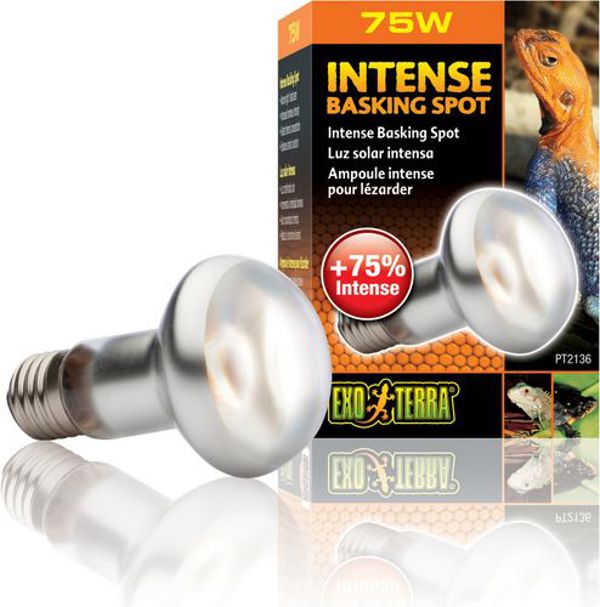 Hagen EXOTERRA ΛΑΜΠΤΗΡΑΣ INΤENSE SPOT 75W