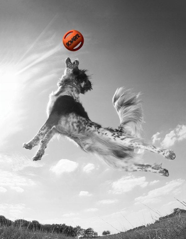 Happy Dog Παιχνίδι Durafoam Bomber, 15 cm, πορτοκαλί