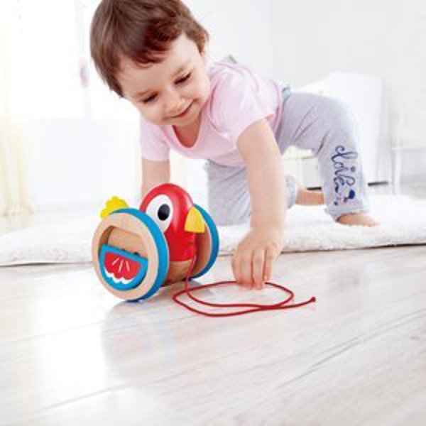 Hape HAPE Πουλάκι για τράβηγμα E0360A