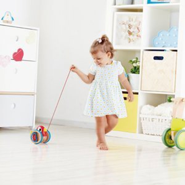 Hape HAPE Πουλάκι για τράβηγμα E0360A