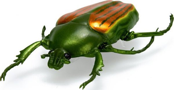 Hexbug HEX BOTS διαδραστικό παιχνίδι Nano Real Bugs 5 πακέτο
