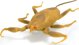 Hexbug HEX BOTS διαδραστικό παιχνίδι Nano Real Bugs 5 πακέτο