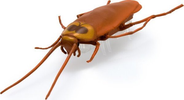 Hexbug HEX BOTS διαδραστικό παιχνίδι Nano Real Bugs 5 πακέτο