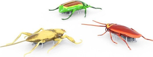 Hexbug Hexbug Nano Real Bugs 3 pack Asst.